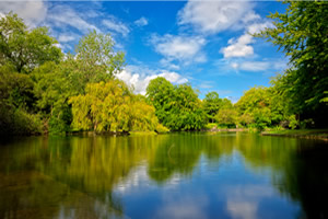 Peaceful lake view